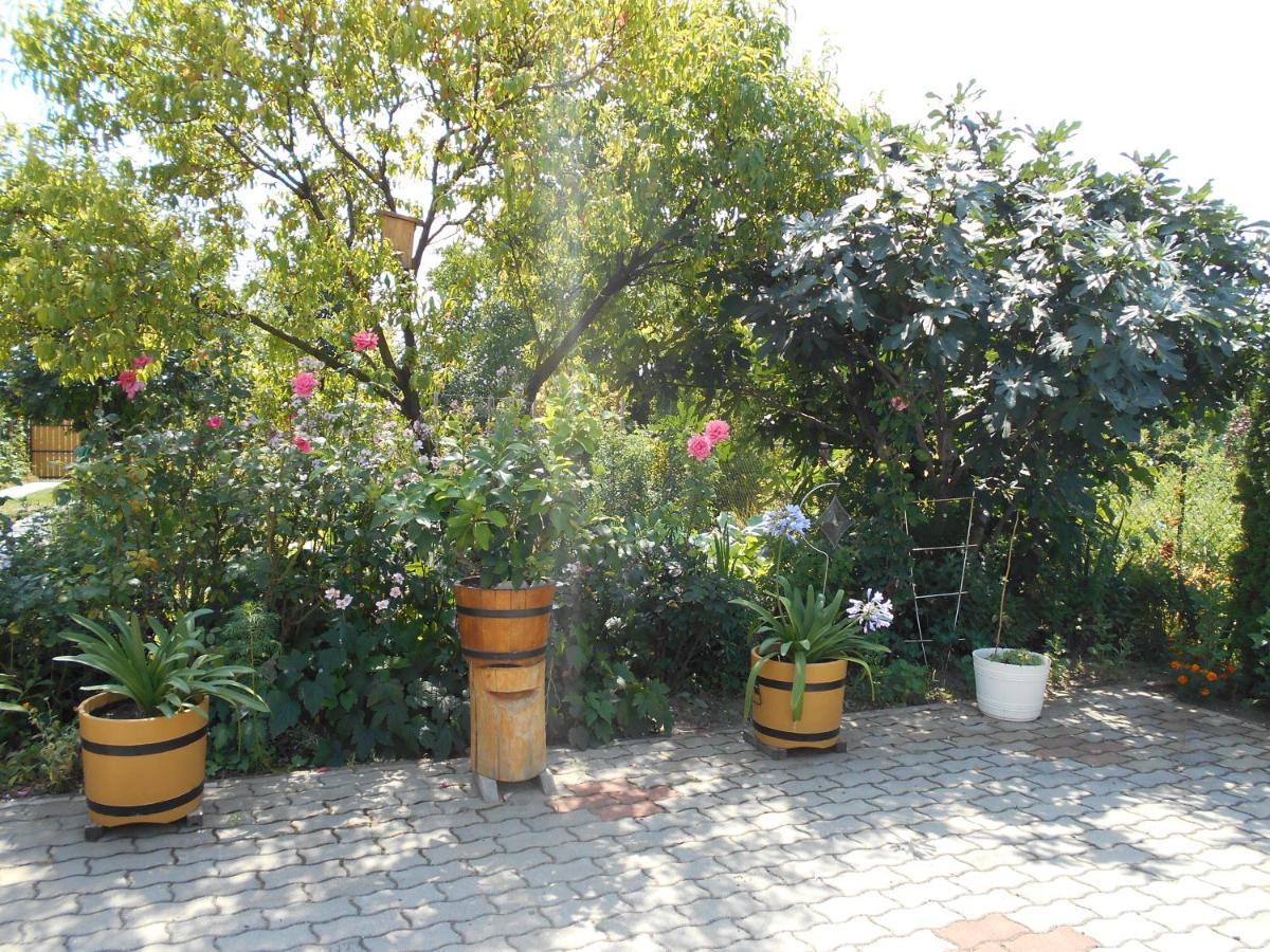 Bed and Breakfast Arpad Panzio Győr Exterior foto